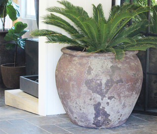 Oversized Garden Pots Perth Large, Big Outdoor Pot Plants