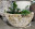Atlantis Herb Garden Planter Bowl