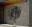 Banksia Wall Art | Round